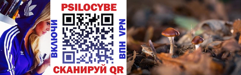 Псилоцибиновые грибы Cubensis  Судак 